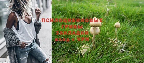 ешки Балахна