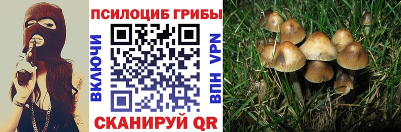 Галлюциногенные грибы мицелий  Котельниково 